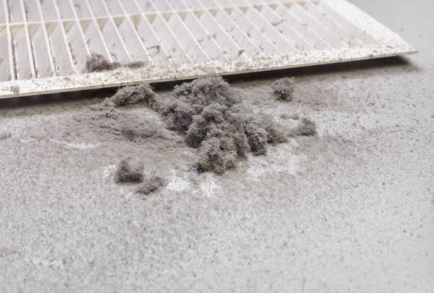 Best HVAC Air Duct Cleaning  in Evergreen, AL