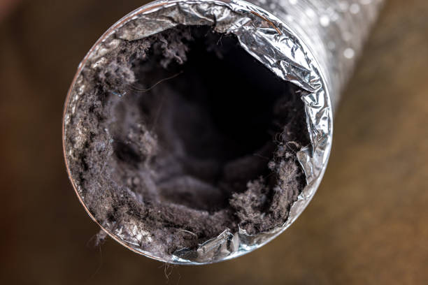 Best Best Air Duct Cleaning Company  in Evergreen, AL