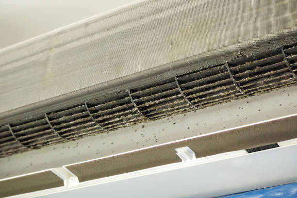 Best Home Air Vent Cleaning  in Evergreen, AL