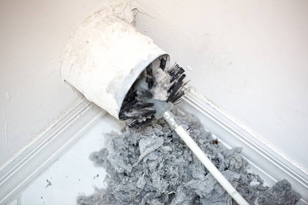 Best HVAC System Cleaning  in Evergreen, AL
